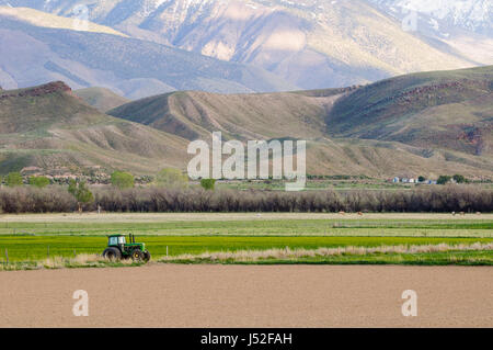 Tractor parked in a farmer's field in Joseph, Utah, USA. Stock Photo