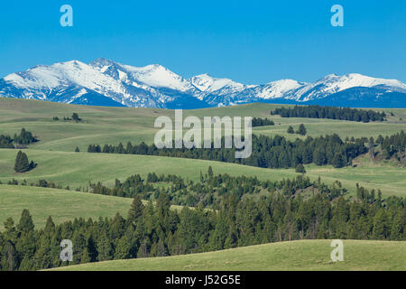 peaks of the flint creek range above meadows of upper spotted dog creek basin near avon, montana Stock Photo