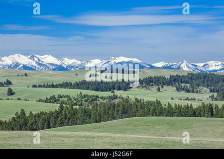 peaks of the flint creek range above meadows of upper spotted dog creek basin near avon, montana Stock Photo