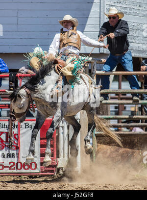 Saddleback bronc action at the Cottonwood Rodeo in California. Stock Photo