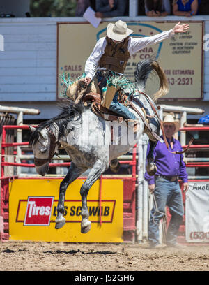 Saddleback bronc action at the Cottonwood Rodeo in California. Stock Photo