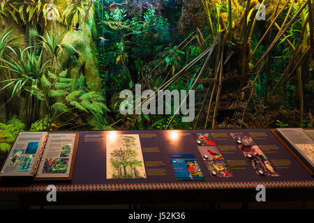 Interpretive display at the Jaggar Museum, Hawaii Volcanoes National ...