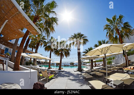 Parasols and palm trees in a greek hotel, Kamari Santorini Cyclades Greek Islands Greece Stock Photo