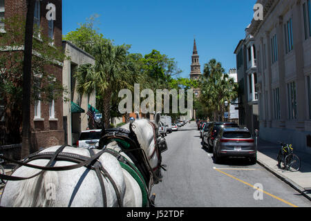 South Carolina, Charleston. Typical historic downtown sightseeing carriage ride. St. Philip's Church in the distance, National Historic Landmark, est. Stock Photo