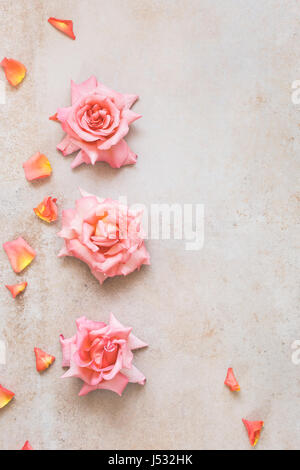 Roses on a rustic concrete background. Top view, vintage toned image, blank space Stock Photo