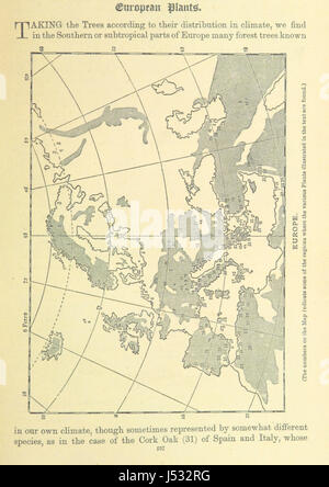 Image taken from page 251 of 'The World's Inhabitants; or, Mankind, animals & plants ... With ... illustrations, etc' Stock Photo