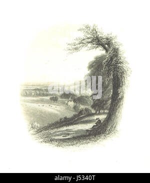 A History of Windsor Forest, Sunninghill, and the Great Park. [With illustrations.] Stock Photo