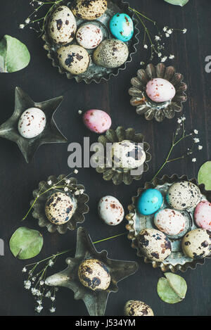 Colorful painted quail eggs in metal molds, dried wild flowers and leaves for Easter holiday over dark scorched wooden background, top view Stock Photo