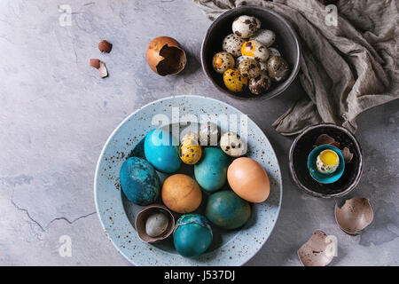 Colored Easter blue brown chicken and quail eggs, whole and broken with yolk in shell in spotted plate and black bowls with textile over gray textured