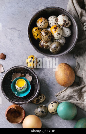 Colored Easter blue brown chicken and quail eggs, whole and broken with yolk in shell in spotted plate and black bowls with textile over gray textured