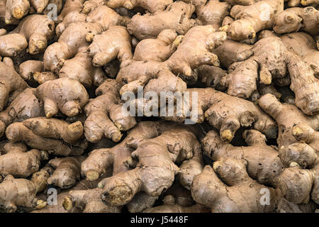 Fresh ginger roots display on sale in the fresh vegetable market Stock Photo