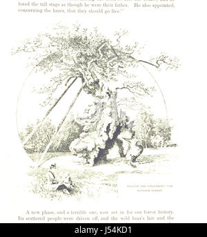 A History of Windsor Forest, Sunninghill, and the Great Park. [With illustrations.] Stock Photo