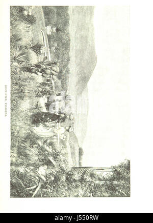 Image taken from page 67 of 'A Year in Italy,-our Italy [i.e. California]. ... With ... illustrations' Stock Photo