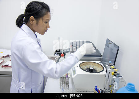 Blood samples tested in the laboratory of the hospital. The doctor conducts research in the lab on the centrifuga. Stock Photo