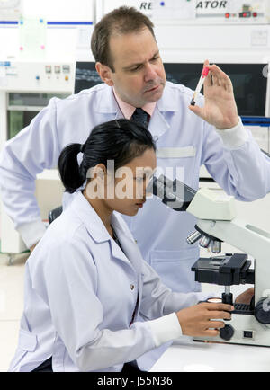 The scientific team is working on research in the lab. Doctor examines the substance under a microscope. Stock Photo