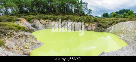 Devil's Bath in Wai-O-Tapu Thermal Wonderland which is located in Rotorua, New Zealand. Stock Photo