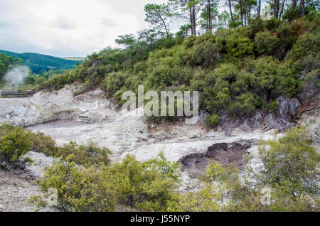 Steam coming out in Wai-O-Tapu Thermal Wonderland which is located in Rotorua, New Zealand. Stock Photo