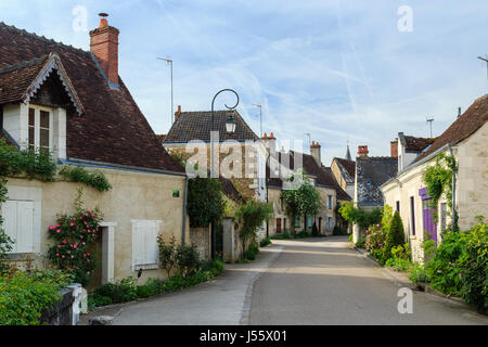 France, Indre et Loire, Chedigny, village in bloom labelled Village Jardin (Garden Village) Stock Photo