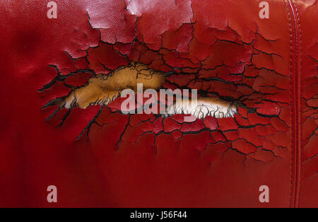 hole and cracks in the red leather sofa Stock Photo