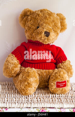 Jumper with outlet teddy bear