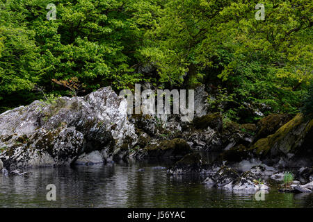 Afon Conwy below the Fairy Glen in Betws y Coed, North Wales at the confluence with Afon Lledr. At this point the river widens and flows more slowly t Stock Photo