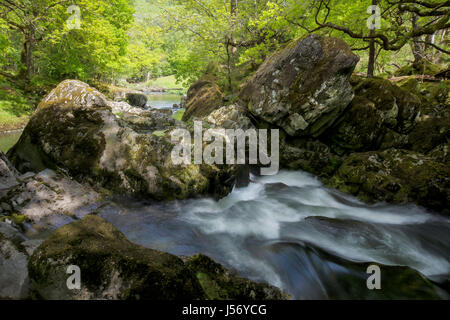 Afon Lledr (River Lledr), the river flowing through the scenic Lledr Valley (Bwlch Lledr) in North Wales where is joins Afon Conwy (River Conway) to t Stock Photo