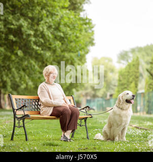 Mature woman with a dog sitting on a wooden bench in the park Stock Photo