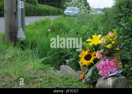 Flowers placed beside the B582 Desford Road near Enderby, Leicestershire, in memory of 16-year-old Megan Bannister, whose body was found on the back seat of a car after a collision involving a motorbike on Sunday. Leicestershire Police is conducting a murder inquiry into the teenager's death. Stock Photo
