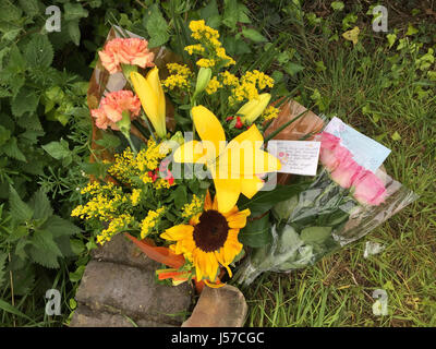 Flowers placed beside the B582 Desford Road near Enderby, Leicestershire, in memory of 16-year-old Megan Bannister, whose body was found on the back seat of a car after a collision involving a motorbike on Sunday. Leicestershire Police is conducting a murder inquiry into the teenager's death. Stock Photo