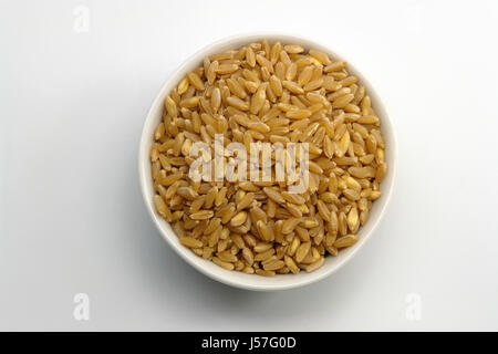 Cup of wheat isolated on white Stock Photo