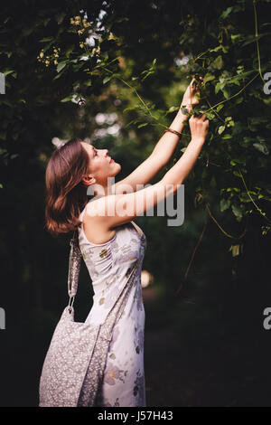 young brunette woman wearing a dress picking fruits from a tree Stock Photo