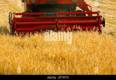 Detail of a working combine harvester in crop field Stock Photo