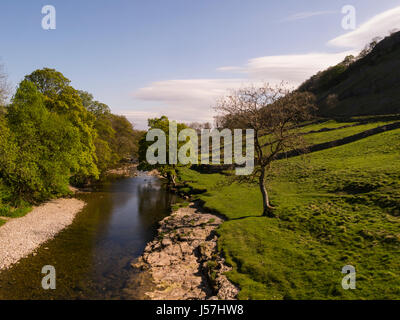 View along the River Wharfe in Upper Wharfedale Yorkshire Dales National Park North Yorkshire England Great Britain GB UK Stock Photo