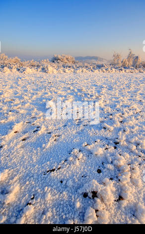 Field covered by hard rime with bushes and hills on background. Warm light near sunset. Poland, Swietokrzyskie, Maslow. Stock Photo