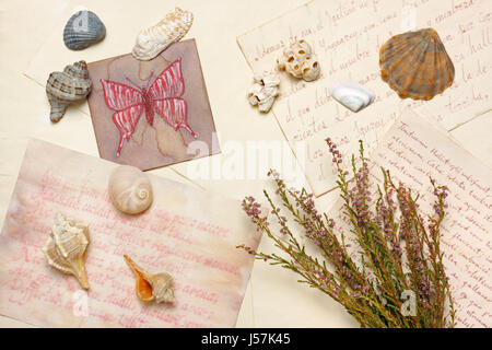 Nostalgic vintage still life with butterfly drawing, sea shells and bunch of dried heather over aged paper sheets Stock Photo