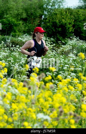 Woman running in the Stratford Triathlon, Stratford-upon-Avon, UK Stock Photo