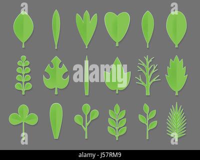 Green vector paper plant leaves illustration. 3d origami abstract flowers leaves icons.Paper art style for banner, poster, promotion, web site, online Stock Vector
