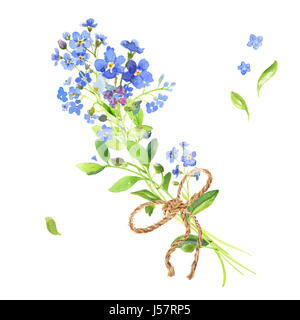 Watercolor bouquet. Blue forget-me-nots Stock Photo