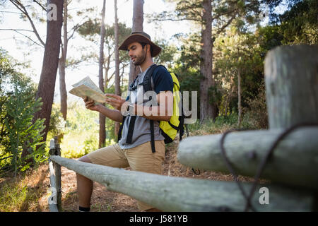 Man reading the map near the wooden fence in forest Stock Photo