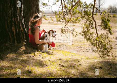 Young pet dog breeds beagle walking in park outdoors. woman carefully walks puppy, plays and tranitsiruetsya, sits with pet in an embrace under tree o Stock Photo