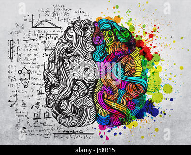 Brain doodle concept about creative right side and logical left side Stock Photo