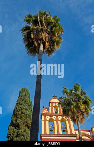 Malaga, Costa del Sol, Malaga Province, Andalusia, southern Spain.  Bell tower of San Agustin church dating from 16th to 18th centuries Stock Photo