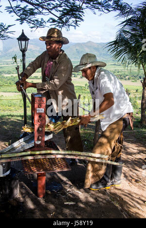 Sugar cane workers pressing cane in Cuba Stock Photo