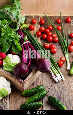 Harvest still life. Food composition of fresh organic vegetables variety,  beetroots, cucumbers, cauliflower and rudishes on rustic wooden table Stock Photo
