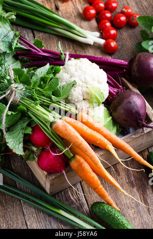 Harvest still life. Food composition of fresh organic vegetables, beets and carrots, cauliflower and rudish on rustic wooden table Stock Photo