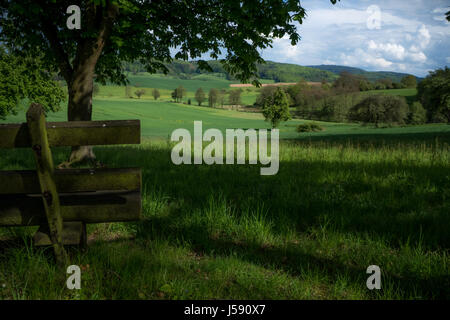 A bench under a beautiful tree Stock Photo