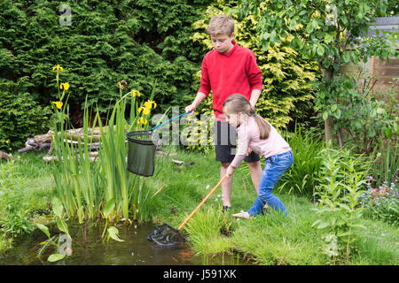 Irises by a pond hi-res stock photography and images - Page 3 - Alamy