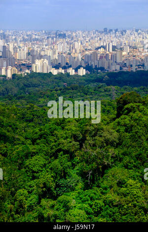 Urban skyline of Sao Paulo shot from the forest in the Serra da Cantareira mountains Stock Photo