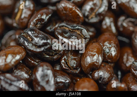Macro shot of dark roasted oily coffee beans. Stock Photo