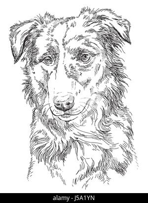 Border collie vector isolated hand drawing illustration in black color ...